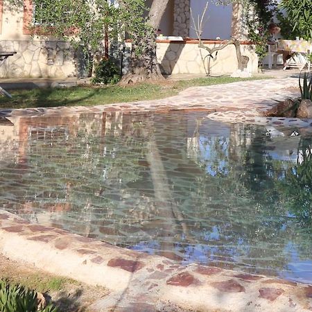 Villa Oleandro Ciccino Vieste Exteriér fotografie