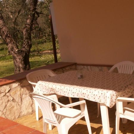 Villa Oleandro Ciccino Vieste Exteriér fotografie