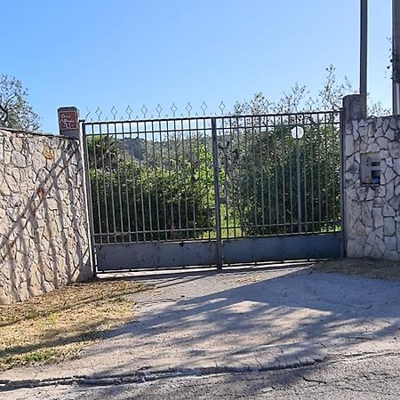 Villa Oleandro Ciccino Vieste Exteriér fotografie